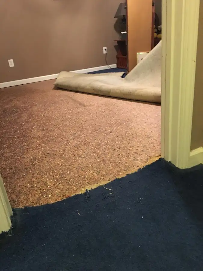 Carpet pad removal revealing water damage during Water Mitigation Services in Morton