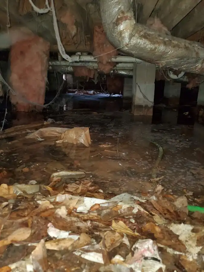 Crawl space flood assessment for Commercial Water Damage Restoration in Morton