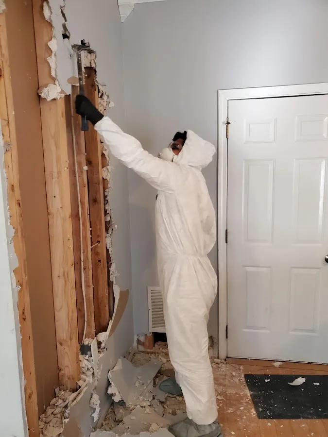 Water Damage Restoration services in Morton, IL